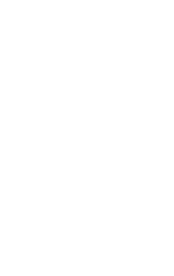 UNSW 校徽