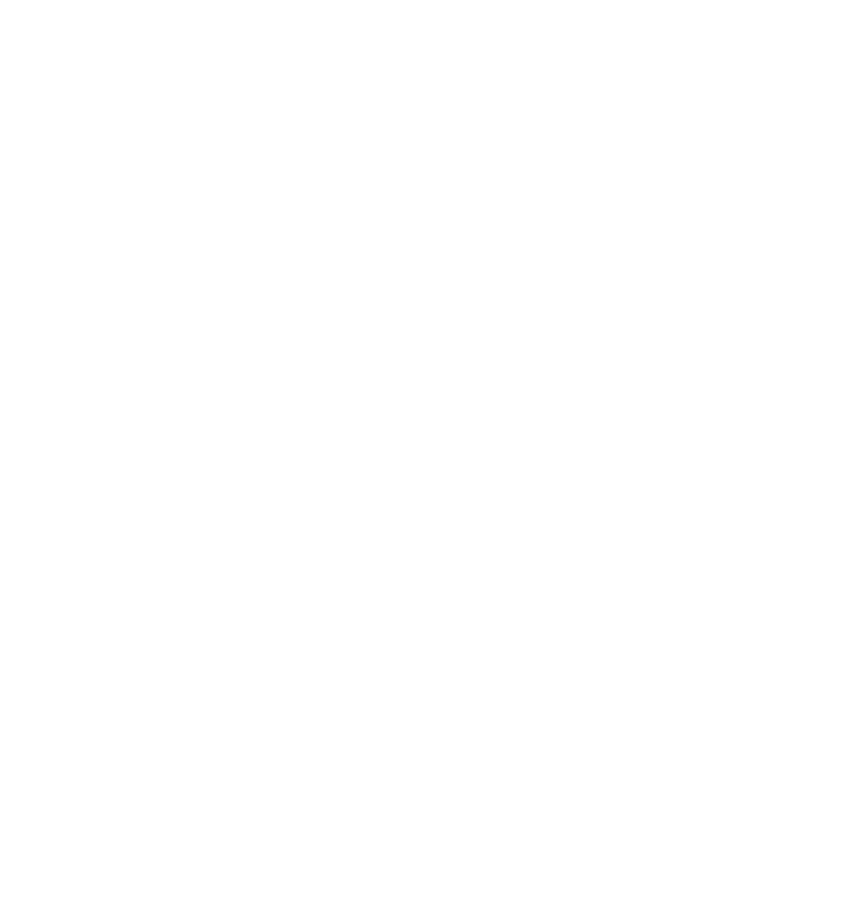 USYD 校徽